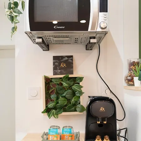 Le Cosy De Saint Epvre - - 2 Pers Appartement Nancy